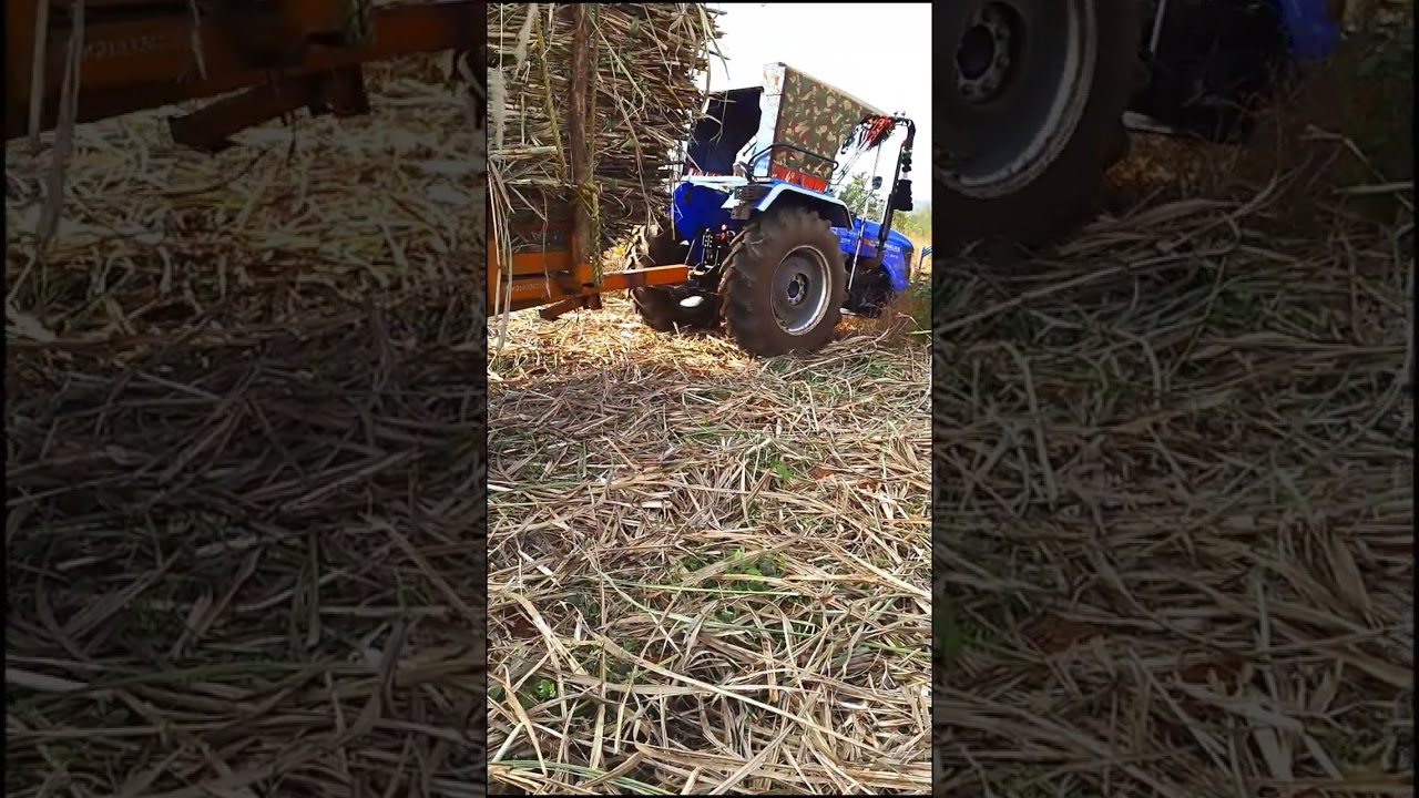 Farmer Pulls Sugarcane Trolley With Sonalika Rx47 Tractor  #youtubeshorts#viralvideo