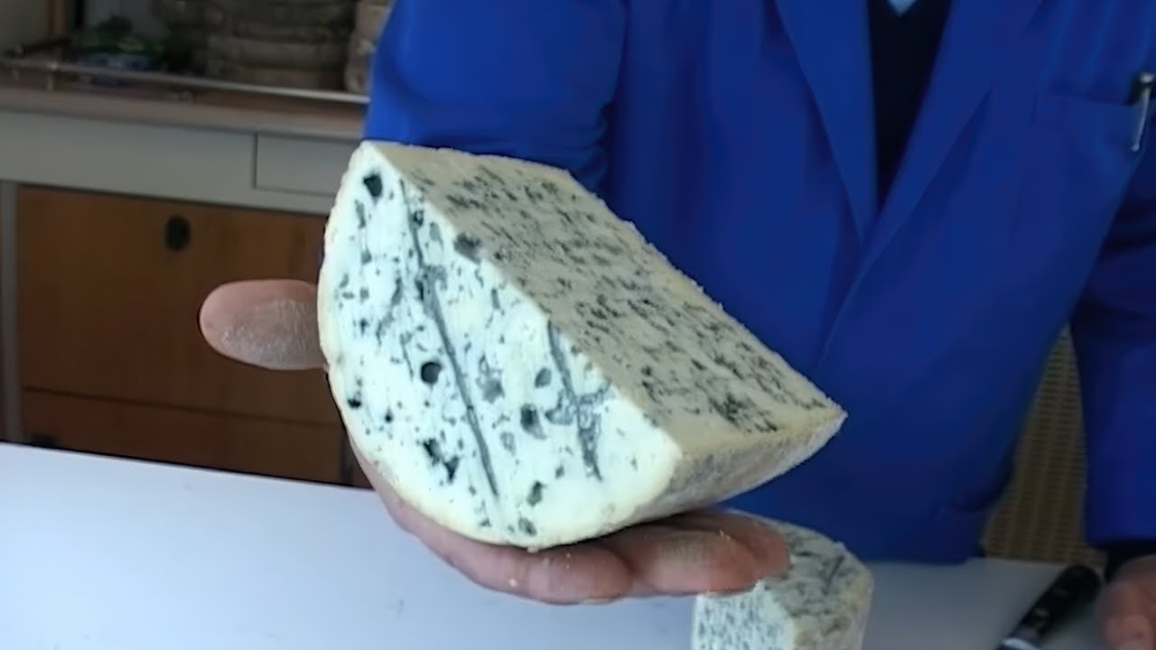 La Fourme d’Ambert, quand le vieux a du bon !