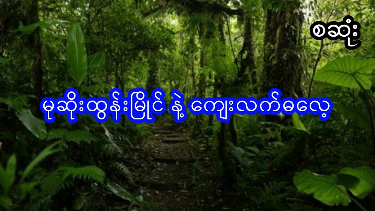 မုဆိုးထွန်းမြိုင်နဲ့ကျေးလက်ဓလေ့ - စဆုံး