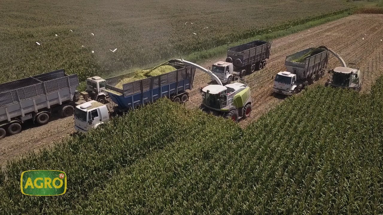 La Barrancosa: Integración y tecnología para producir 1.000 kilos de queso por día (#914 2021-02-06)