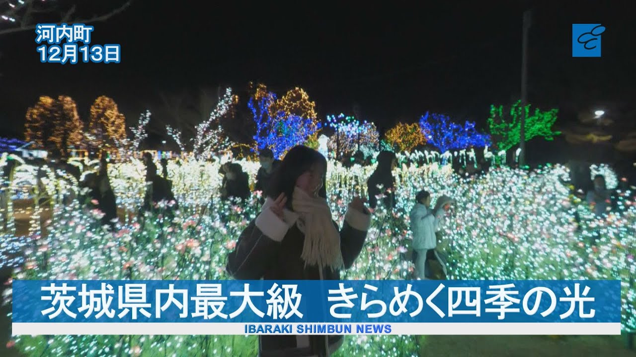 河内町で茨城県内最大級のイルミネーション　きらめく四季の光　かわちイルミネーション