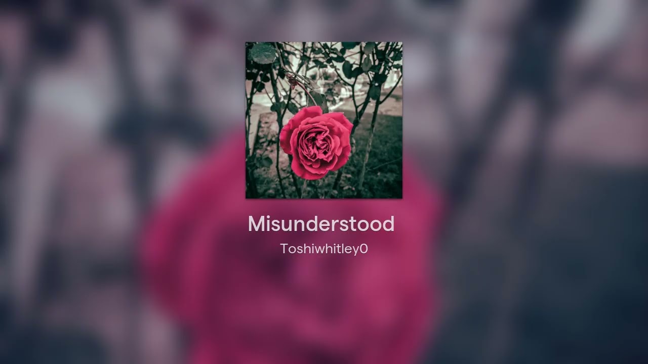 Misunderstood