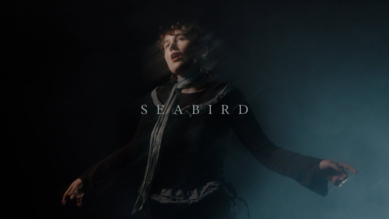 deary - Seabird (Official Video)