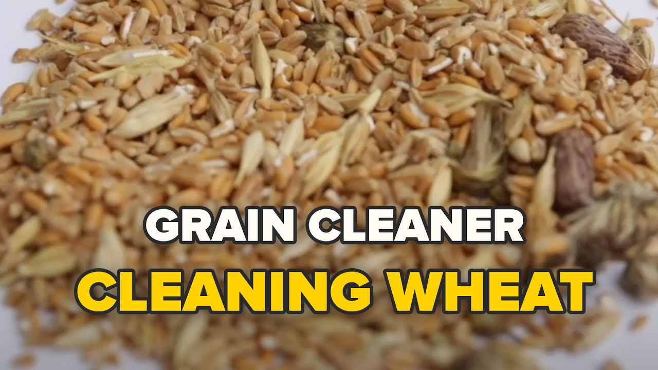 Grain Cleaner 
