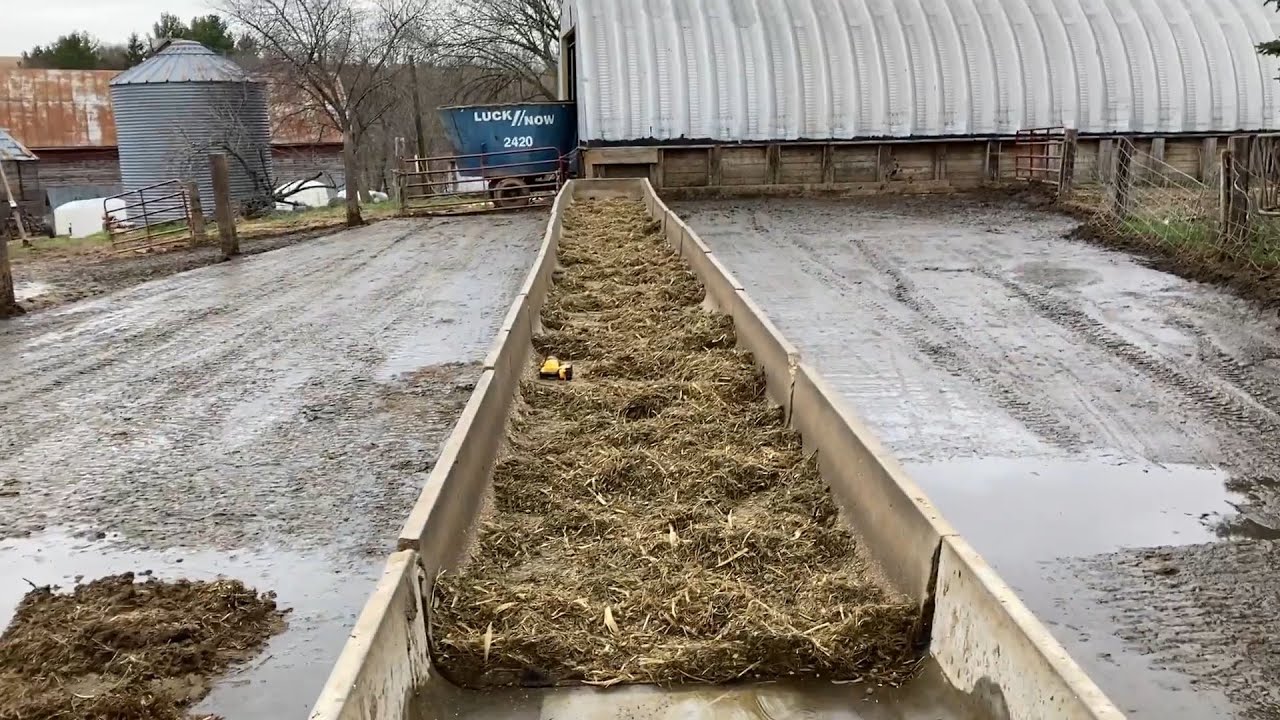 new concrete feed H bunk addition on the Wisconsin dairy farm