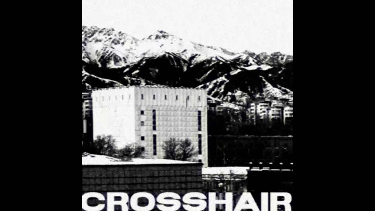 [FREE] CROSSHAIR | Molchat Doma, Twin Tribes Type Beat #darkwavetypebeat #postpunktypebeat #gothclub