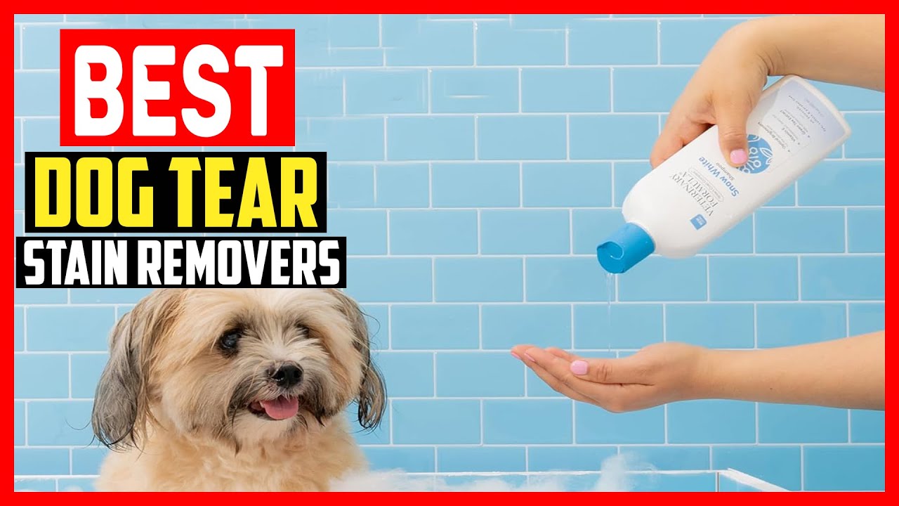 ✅Top 5 Best Dog Tear Stain Removers in 2026