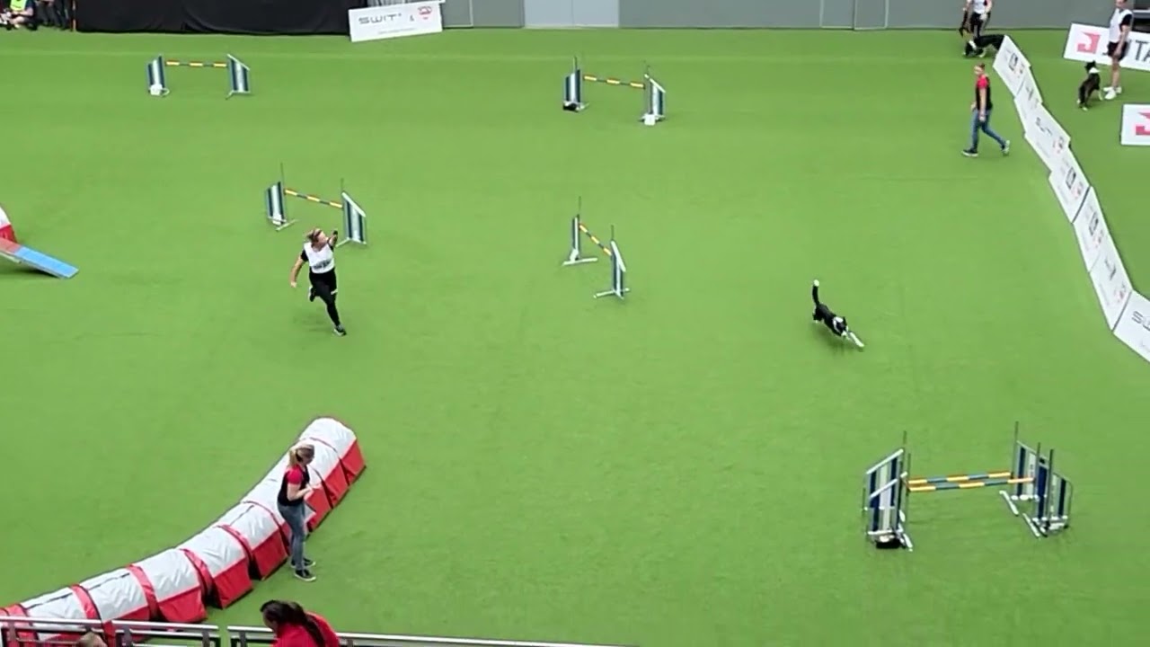 3rd place GERMANY Team Agility Large FCI AWC 2022
