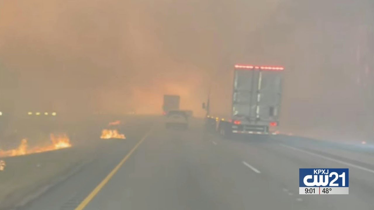 Tammany fire