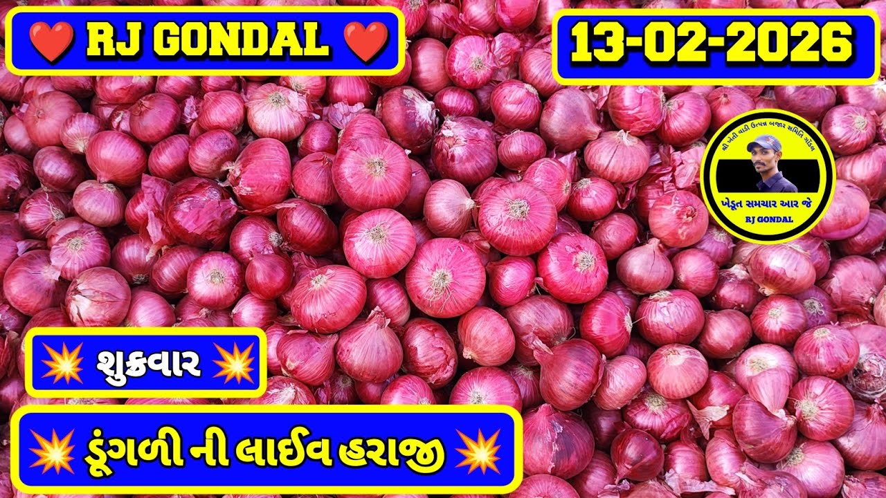Dungri Na Bhav | 13-02-2026 | ગોંડલ ડૂંગળી ના ભાવ | Onion Market | RJ Gondal Marketing Yard 