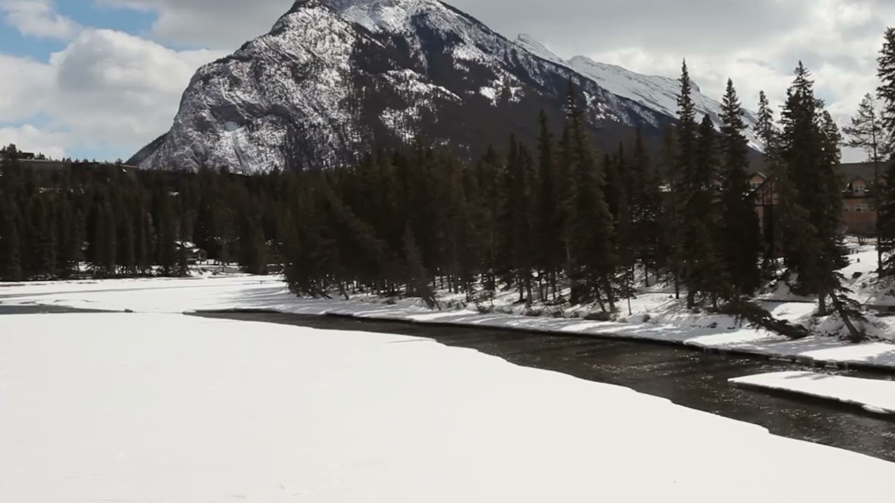 Snowy Mountain Stream Ambience – Flowing Water & Pine Forest for Sleep, Focus & Relaxation 8 Hours