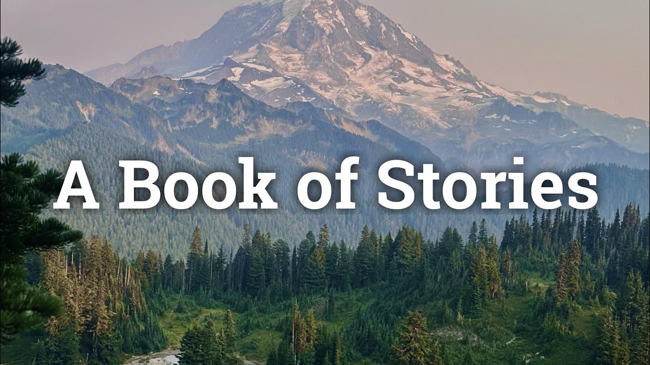 A Book of Stories - David Johnson