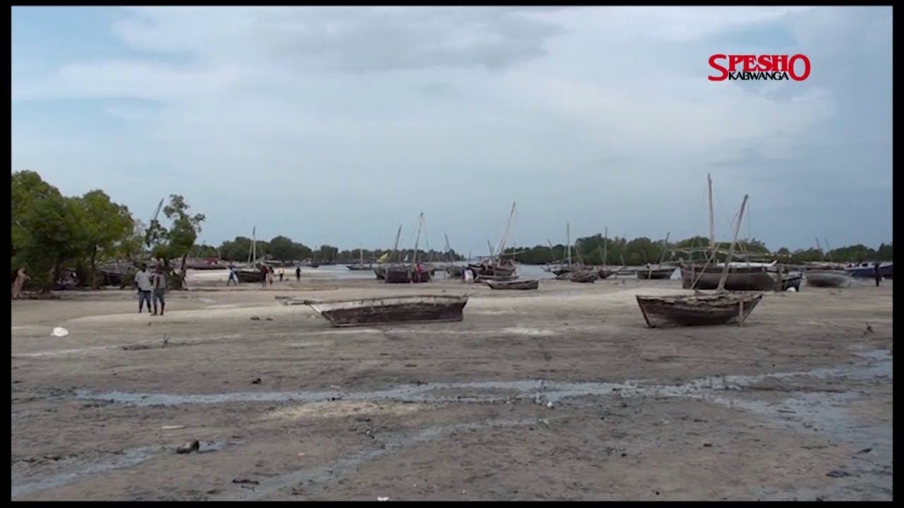 SOMANGA NA BIASHARA YA PWEZA