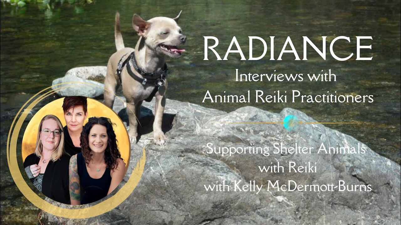 Supporting Shelter Animals with Reiki Kelly  McDermott Burns| Reiki Women Podcast Radiance Series