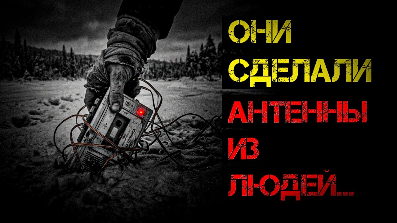 Я убила своего штурмана, потому что ОН ПЕРЕСТАЛ БЫТЬ ЧЕЛОВЕКОМ