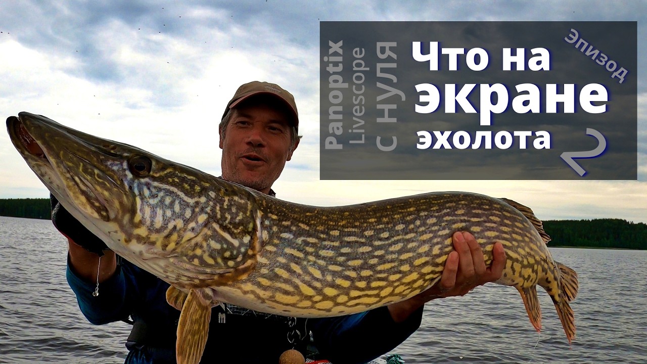 Рыбалка с Garmin Livescope для начинающих. Эпизод 2.
