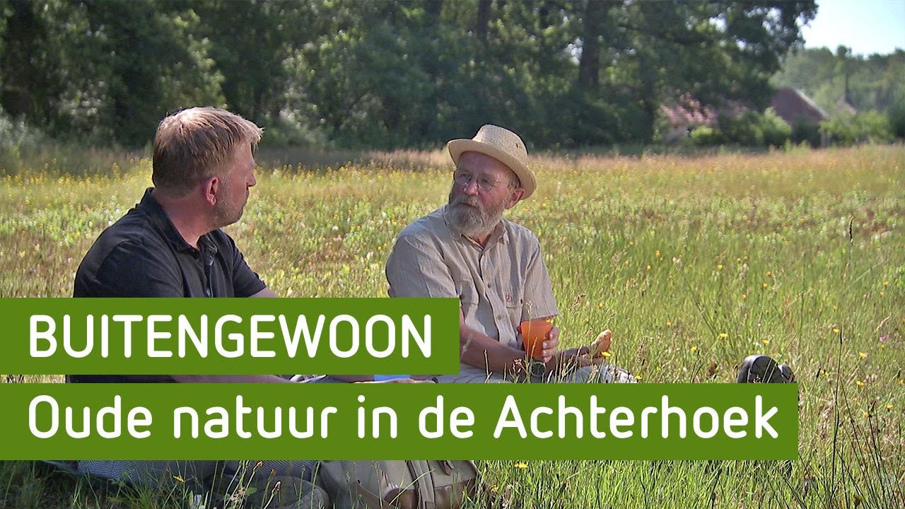 Oude natuur op het landgoed Kieftskamp | BuitenGewoon
