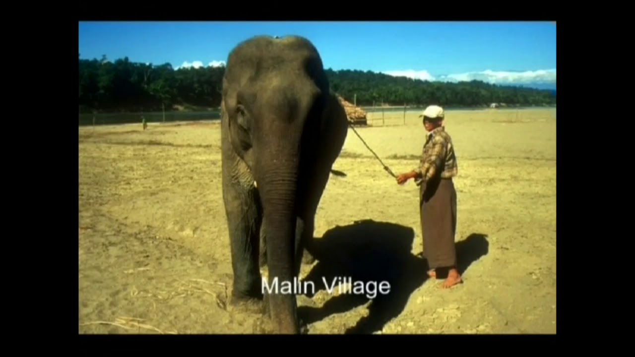 WNDA Myanmar  Chindwin River