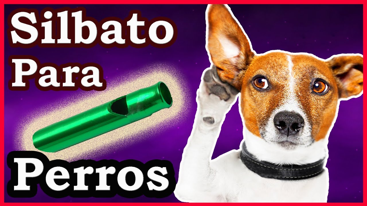 Silbato para perros - Sonido ultrasónico para perros