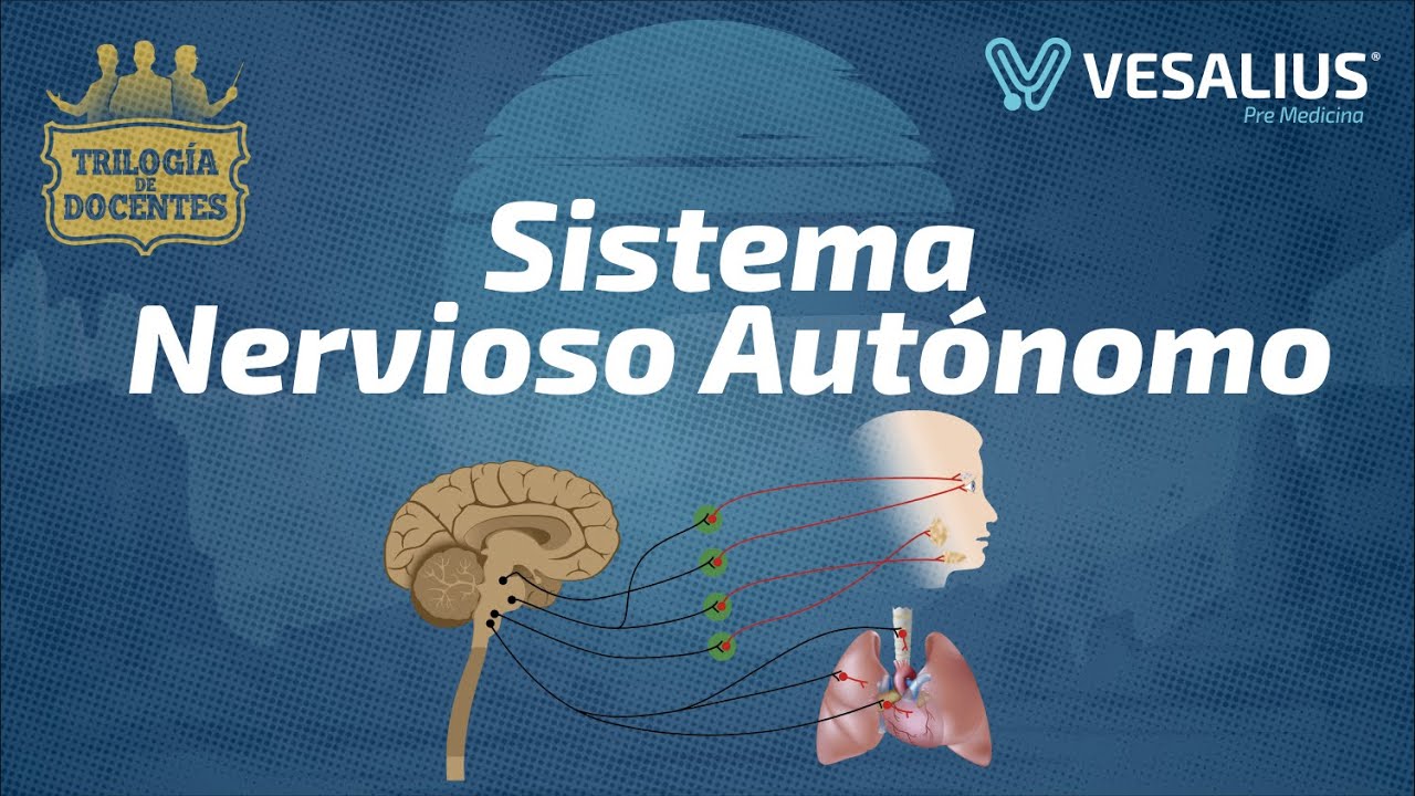 SISTEMA NERVIOSO AUTÓNOMO