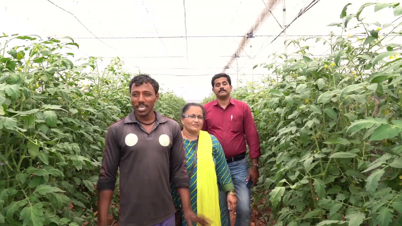 ಖುಷಿ ತಂದ ಕೃಷಿ I horticulture I karnataka I farmers I agriculture I Polyhouse I