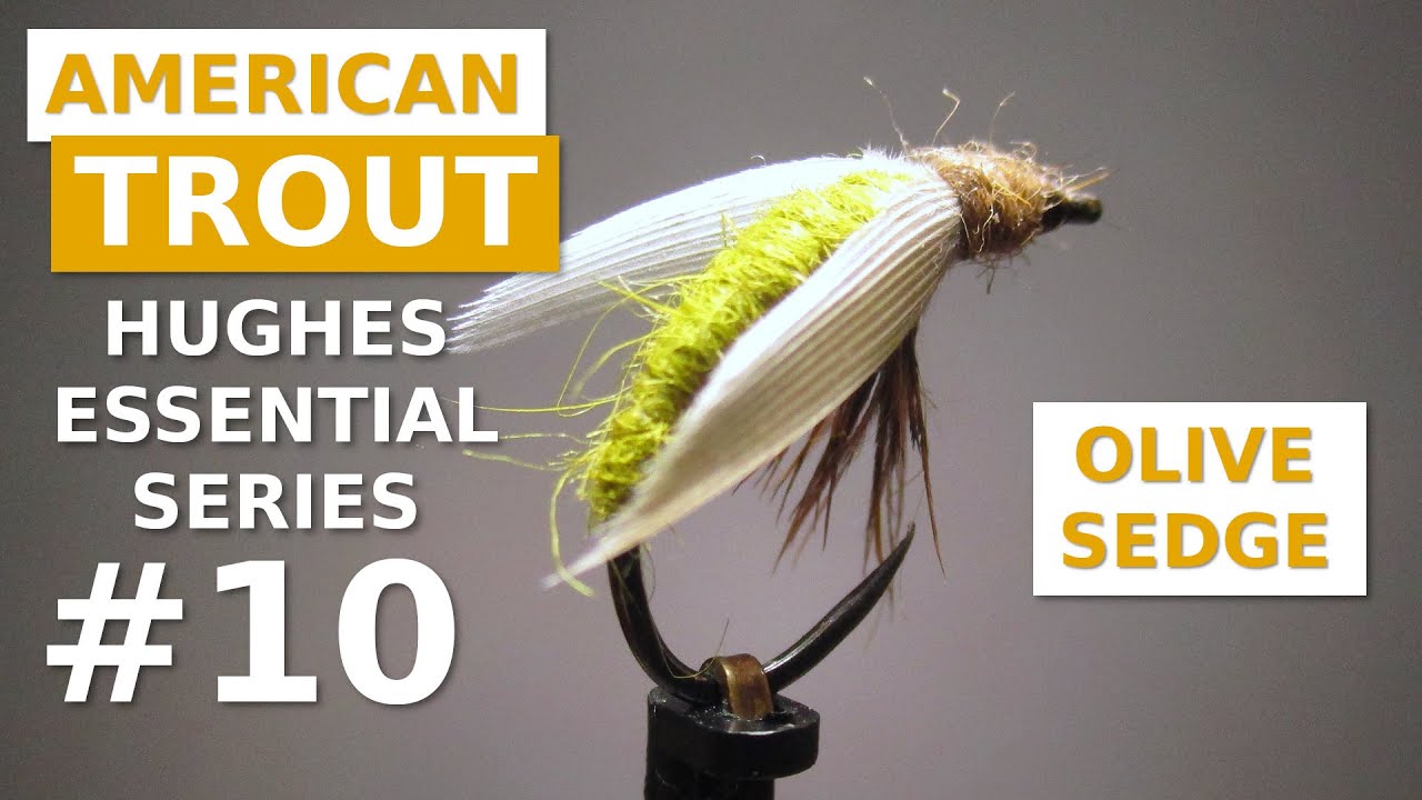 Fly Tying an Olive Sedge - Classic American Caddis Nymph