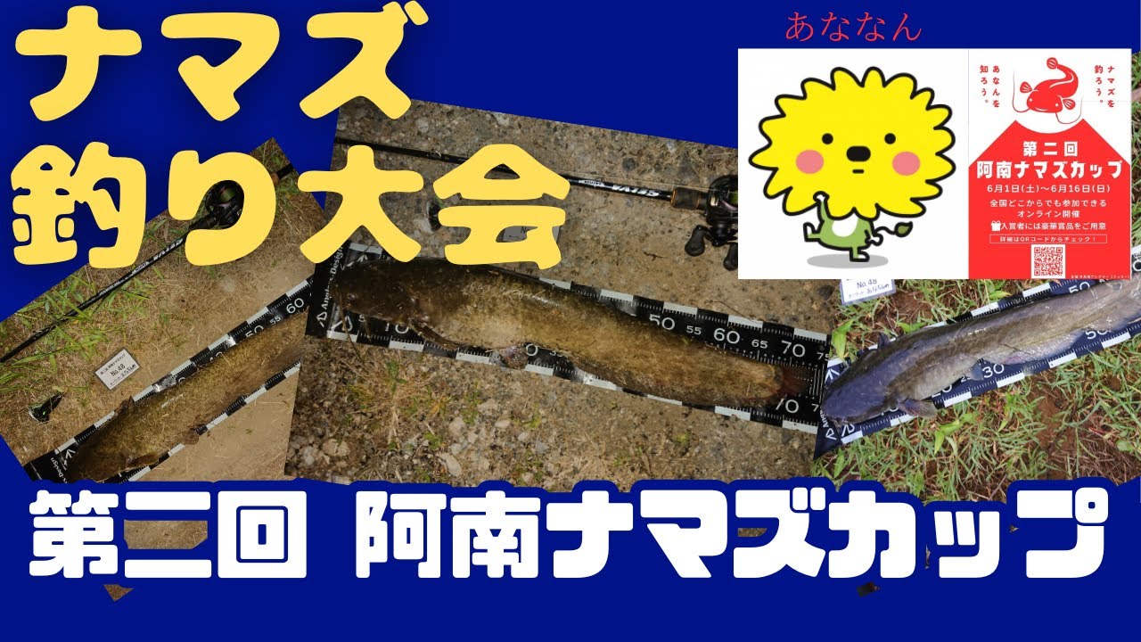 第二回 阿南ナマズカップ ナマズ釣り5年目の集大成！優勝までの軌跡