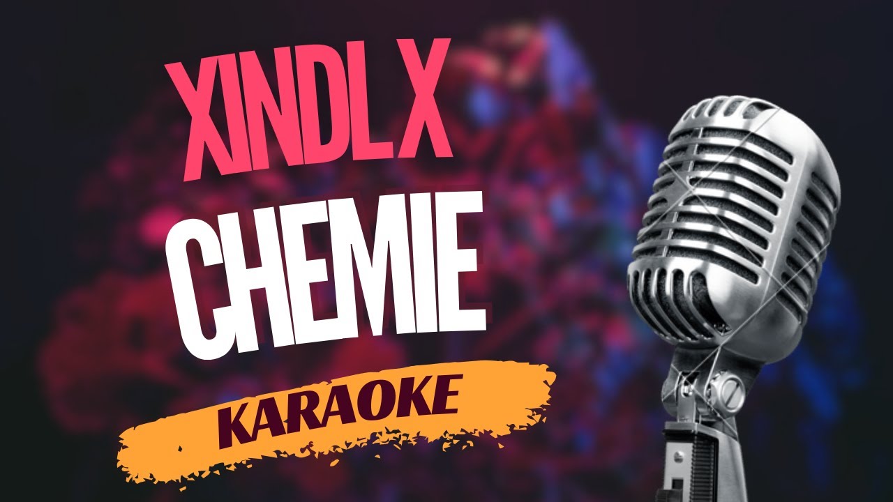 Karaoke - Xindl X - 