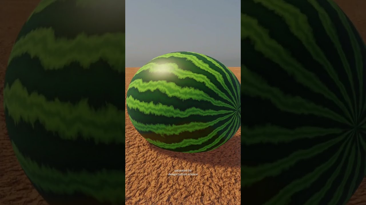 Watermelon on valley. Blender 3d animation