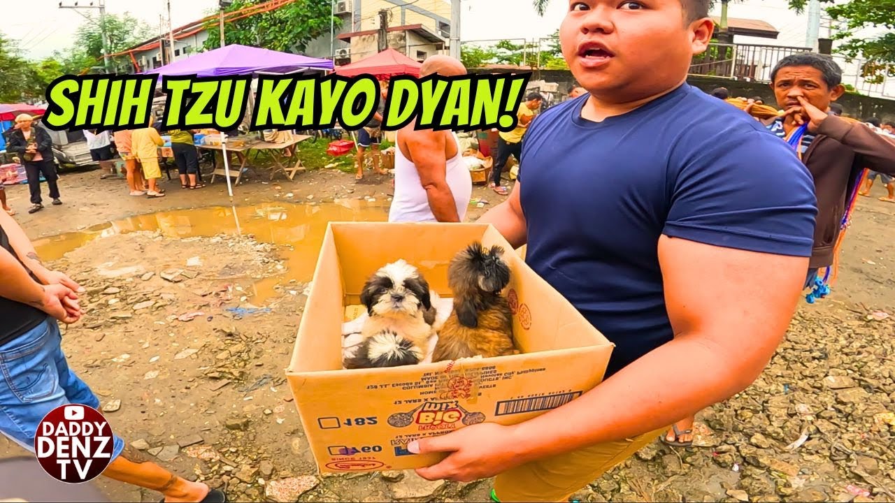 MAKAKASALUBONG MO LANG MGA MURANG ALOK.. / PT.2 JAN. 2, 2026 @BOCAUE PETS & LIVESTOCK MARKET