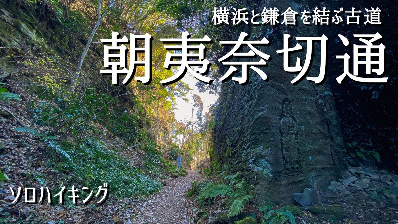 【ソロハイキング】待ちに待った封鎖解除！横浜と鎌倉を結ぶいにしえの道、朝夷奈切通を歩く