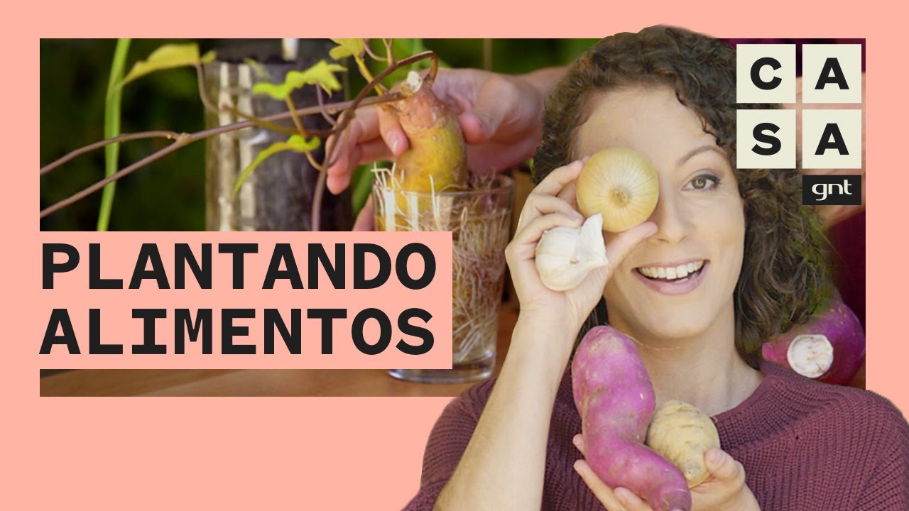 🍠 Como fazer uma horta com alimentos da sua cozinha | Plante Você Mesmo | Carol Costa