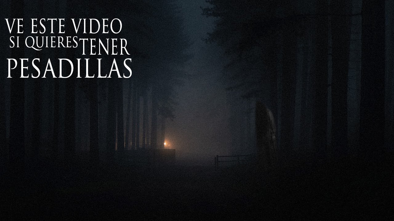 LAS EXPERIENCIAS M&Aacute;S ATERRADORES EN BOSQUES