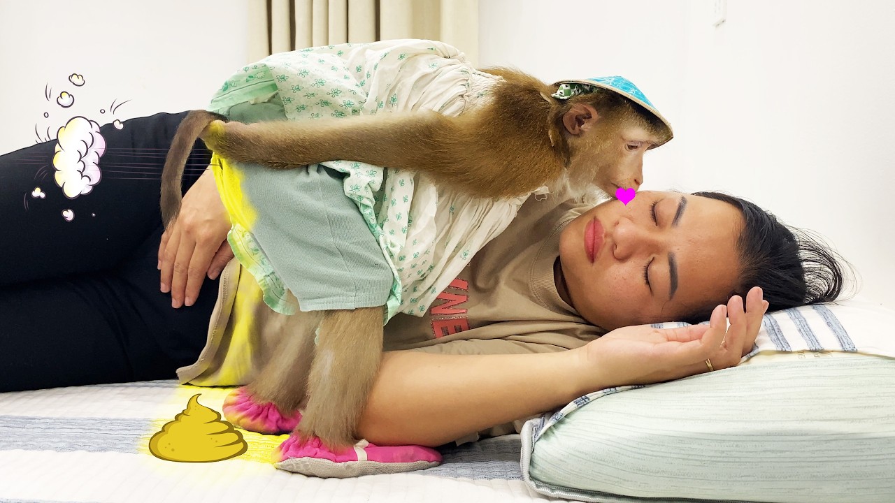 What are you doing??? Monkey Lyly gives a 