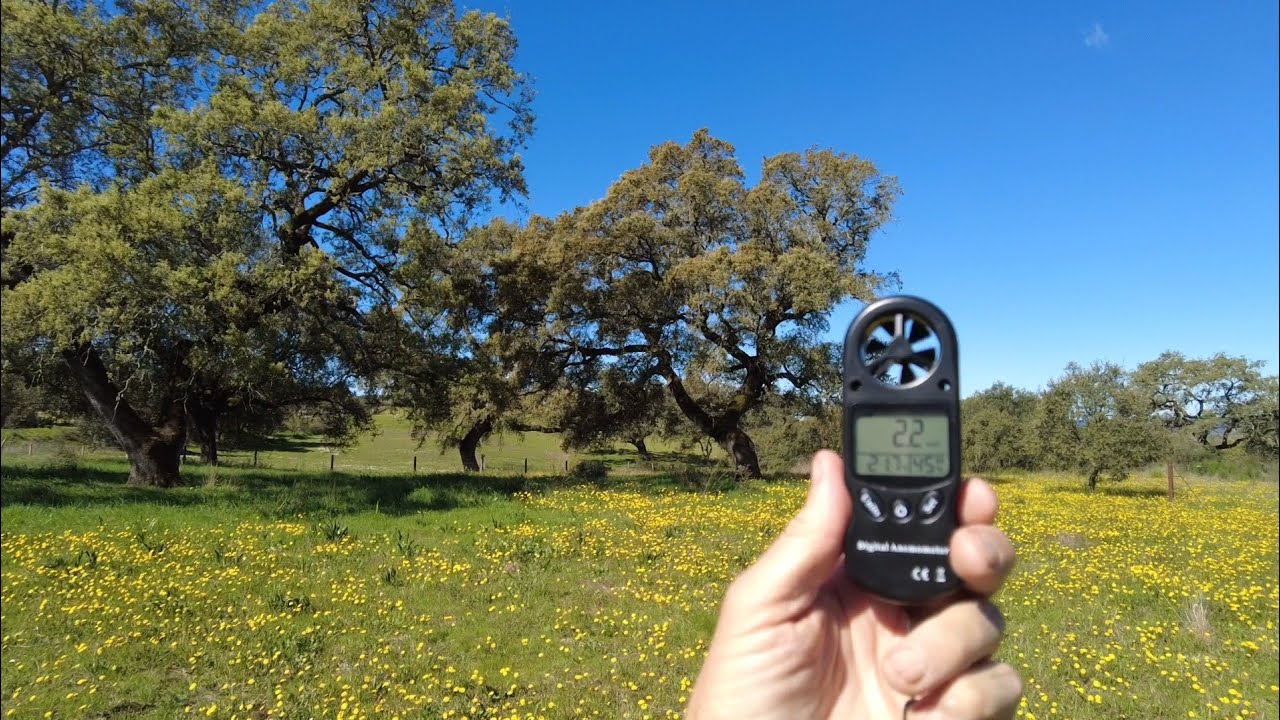 Relative Humidity, Wind and Heat: Hidden Forces Shaping a Farm in NW Andalusia