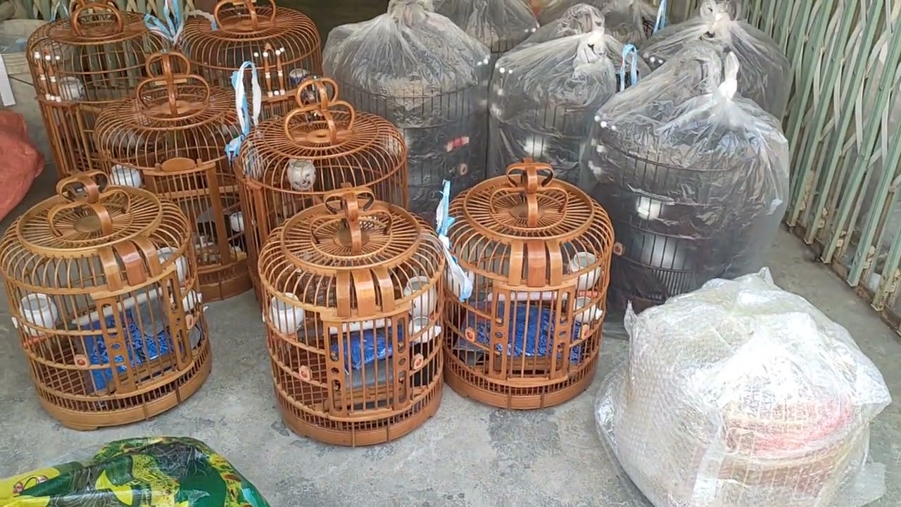 Ae cứ chon e shjp ạ. Lồg tàu sz 30,34,36. Đầy đủ phụ kiện. Shjp toàn quốc.