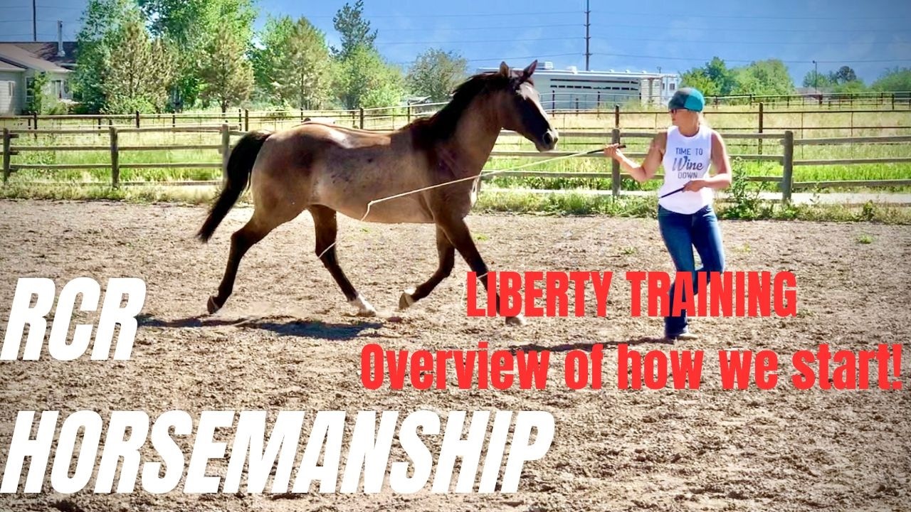 How to Start Liberty Training: My First 5 Essential Steps