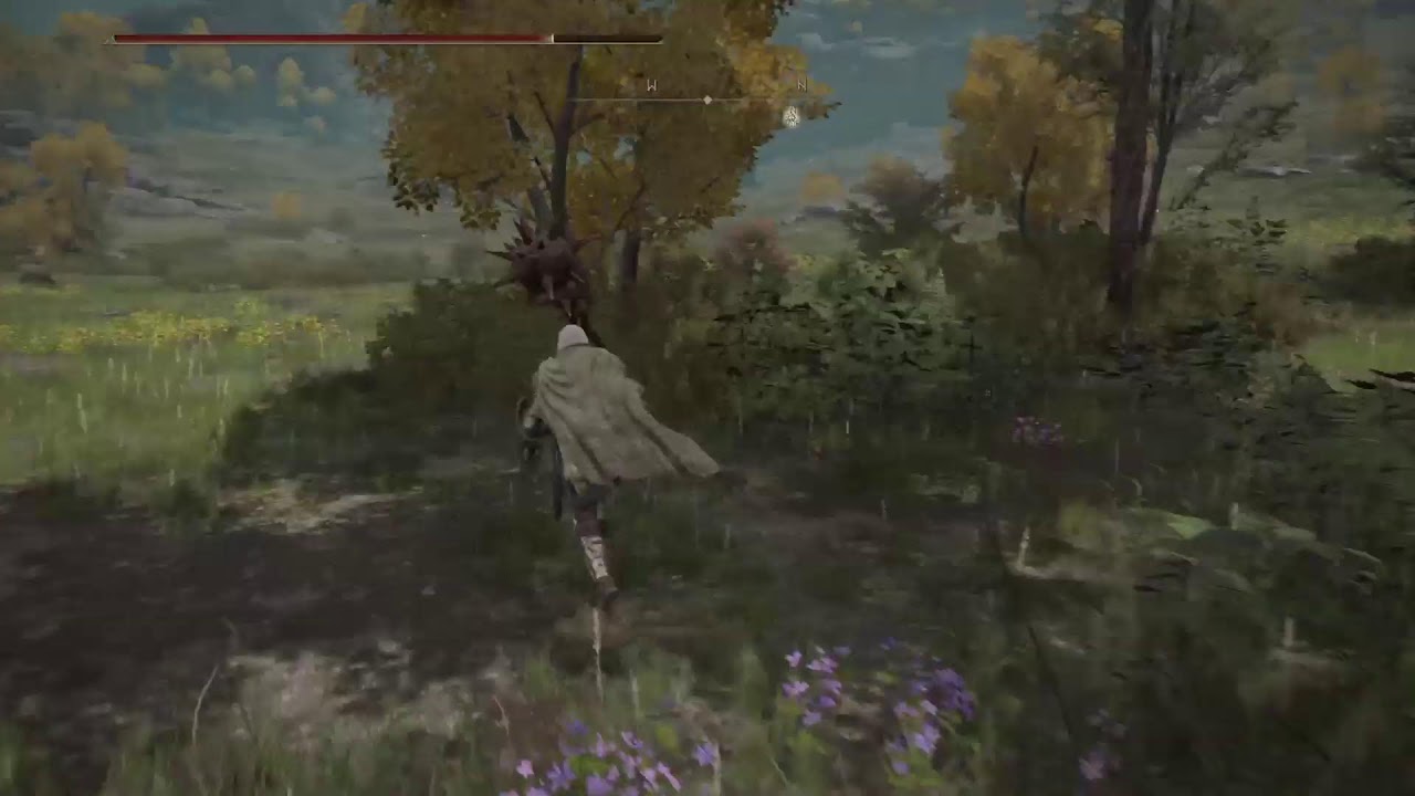 Elden Ring mid game bird farm