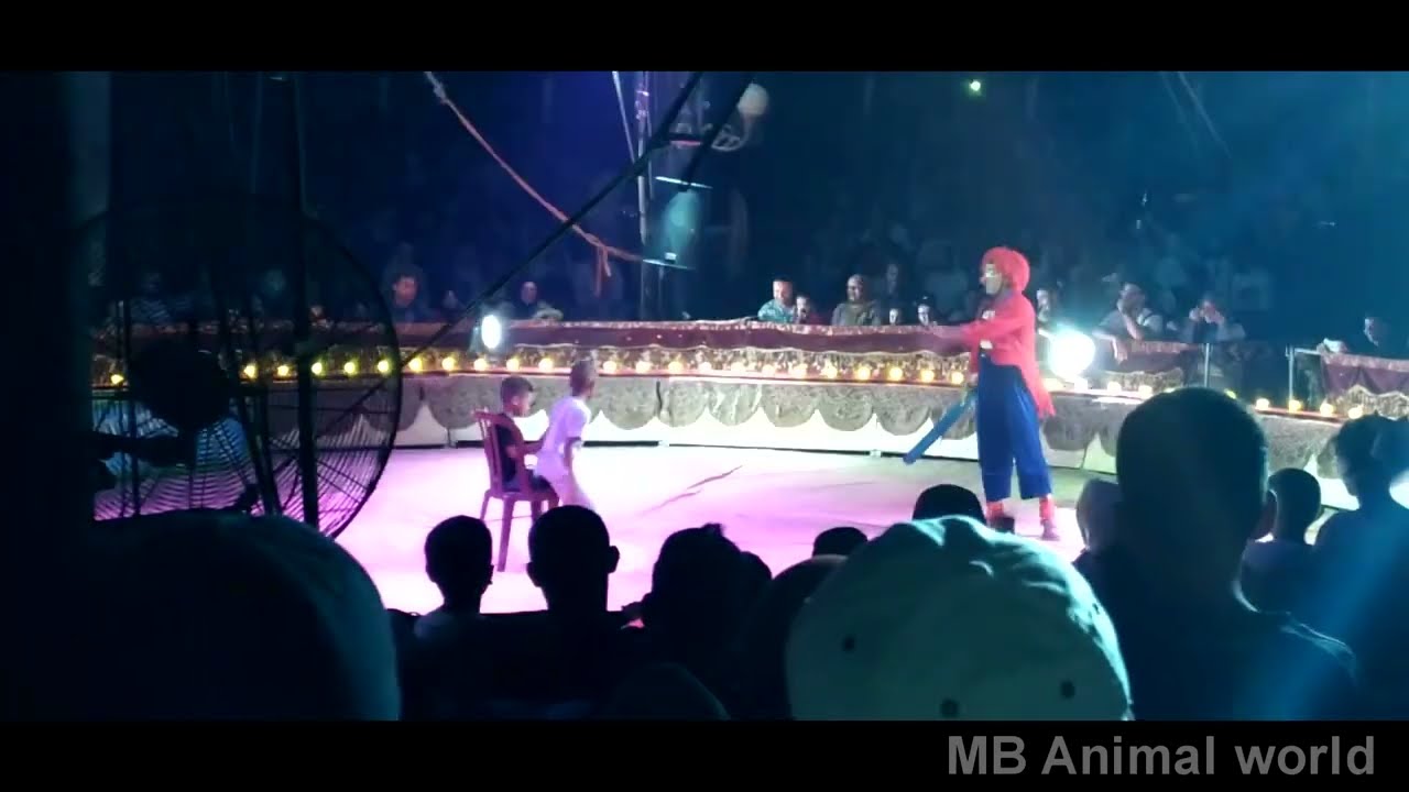 Circus Amar Jijel 2022