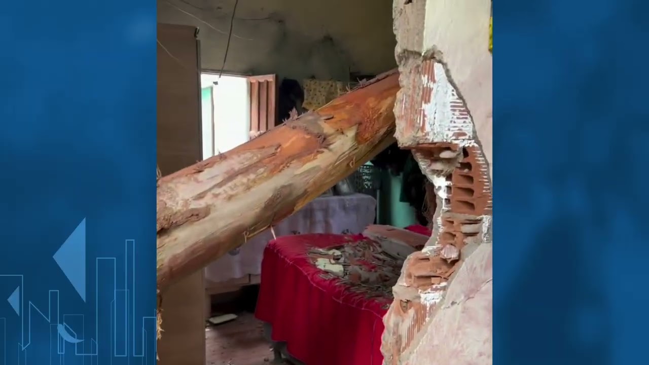 Ibatiba: Duas casas são atingidas por tora de eucalipto