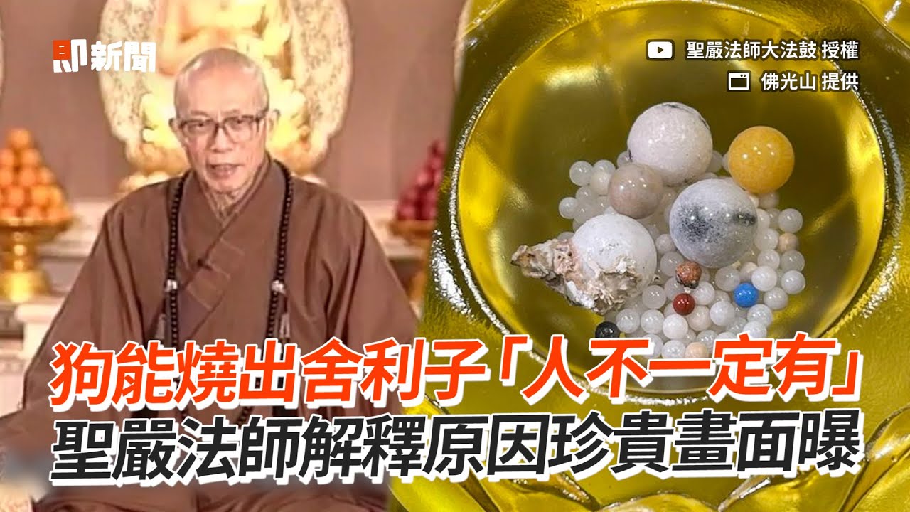 狗能燒出舍利子「人不一定有」　聖嚴法師解釋原因珍貴畫面曝