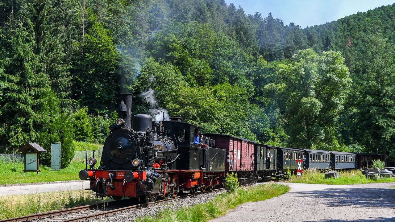 Endlich wieder Volldampf! - Das Kuckucksbähnel