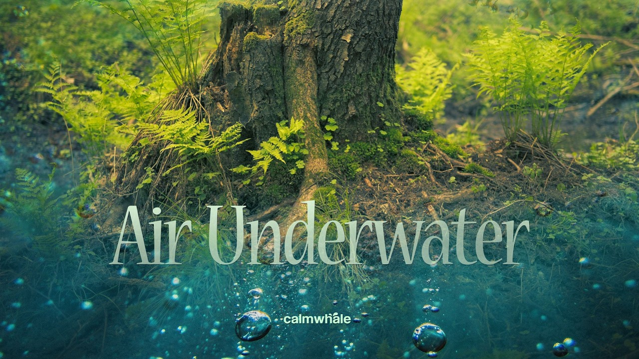 Air Underwater - Whispered Secrets of Nature - Wind chimes & Rainstick - Peacock Spirit Animal