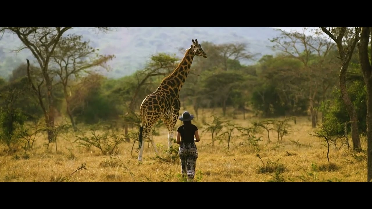 Uganda Safaris Destination
