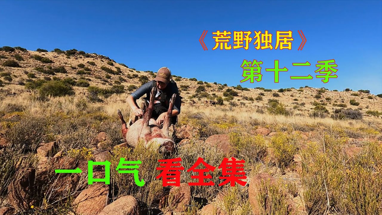 一口气看完，荒野独居第十二季，看谁能拿下最后的冠军