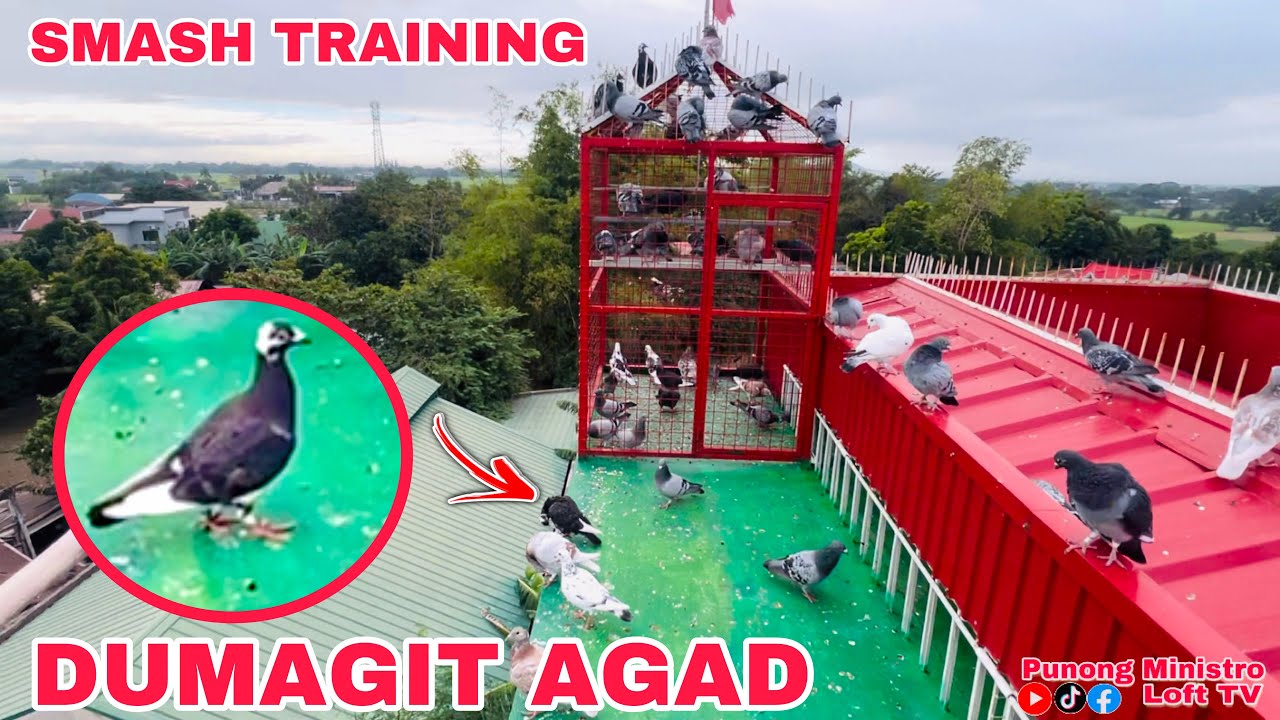 EP565 - GANDA NG PAUWI NATEN SA UNANG ROAD TRAINING SMASH PA YAN!