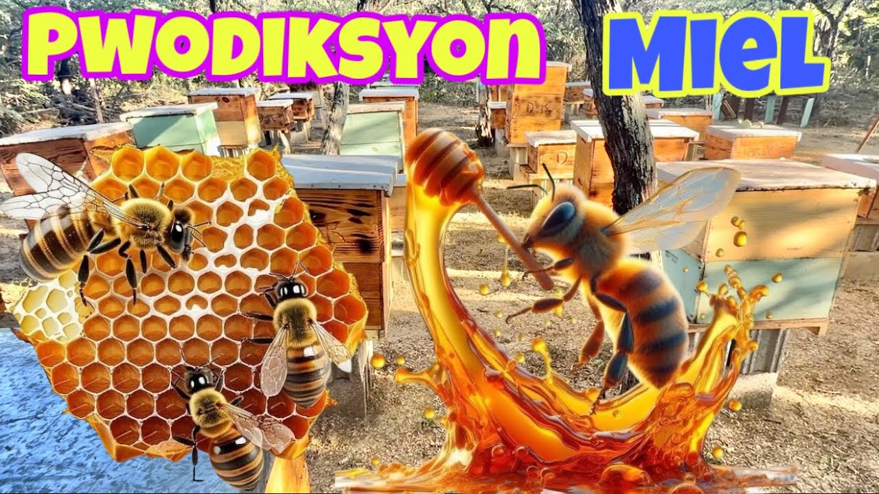 Tout Teknik pou fè lajan nan Pwodiksyon Myèl