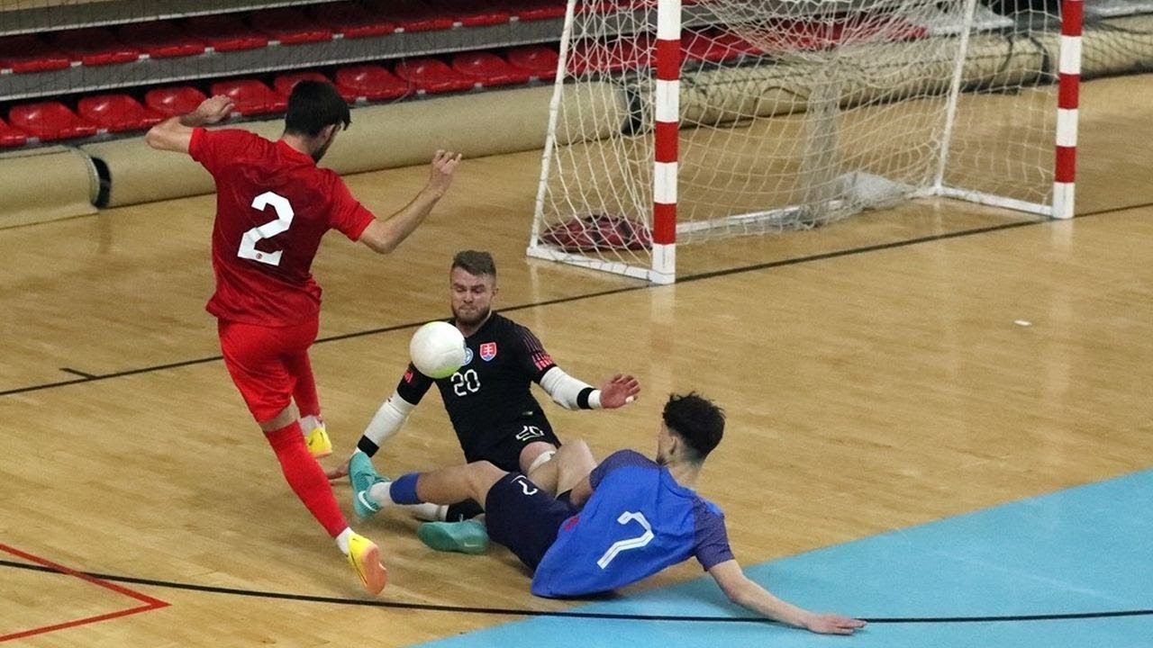HIGHLIGHT zo zápasu TURECKO - SLOVENSKO 4:8