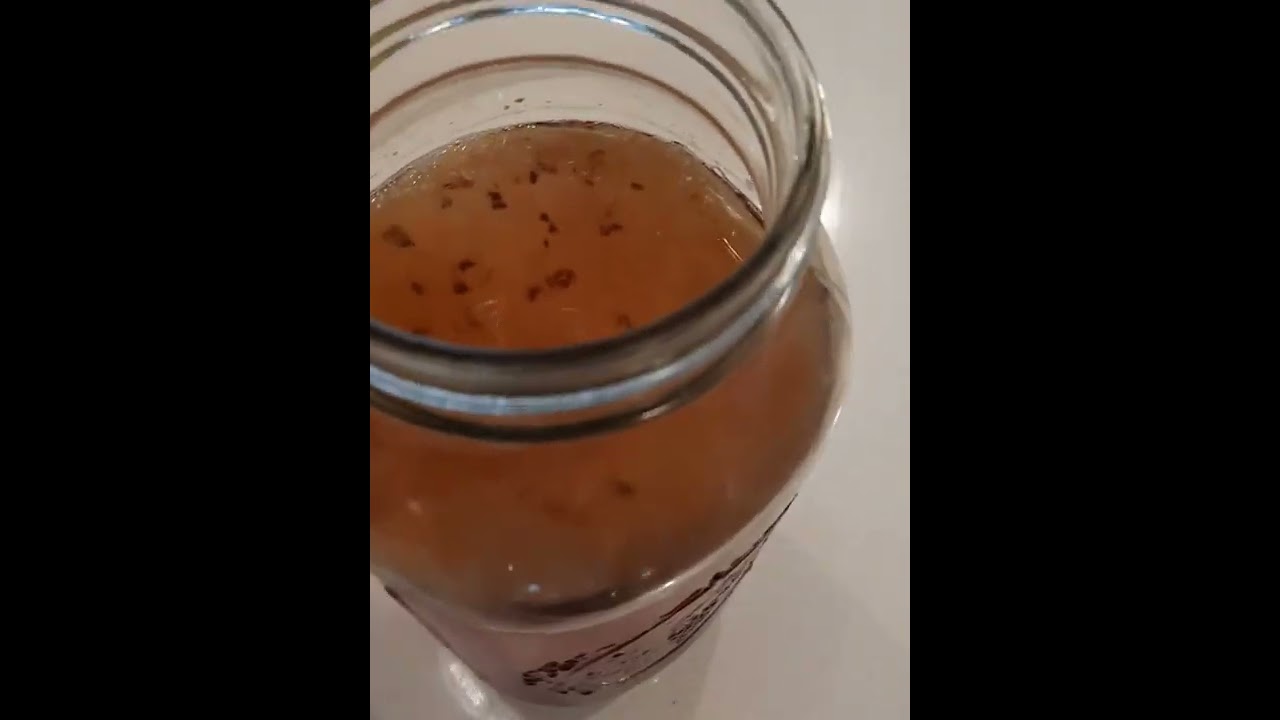 Kombucha Scoby - #guthealth #kombuchalover #kombuchatea #kombucha #fermented #holistichealth