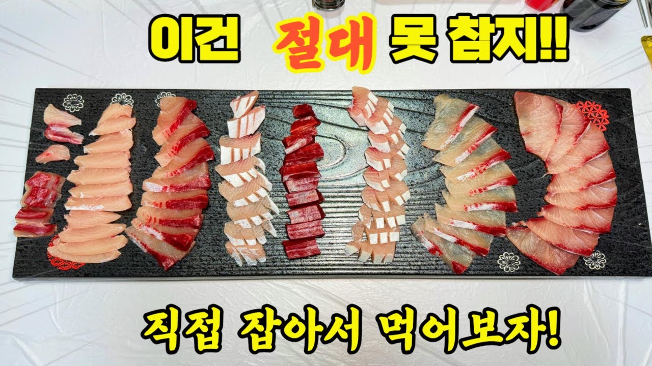 올해도 돌아왔다!! 겨울에 무조건 먹어야 되는 돼지 물고기?? 방어 맛이 예술!!!